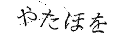 CAPTCHA画像
