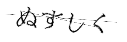 CAPTCHA画像