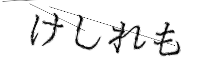 CAPTCHA画像