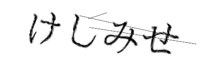 CAPTCHA画像