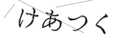 CAPTCHA画像
