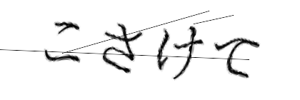 CAPTCHA画像