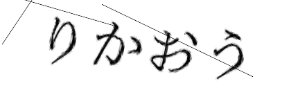 CAPTCHA画像