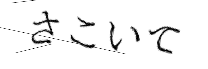 CAPTCHA画像