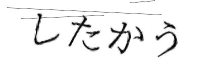 CAPTCHA画像