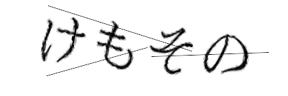 CAPTCHA画像