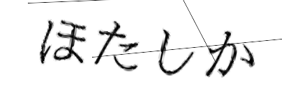 CAPTCHA画像
