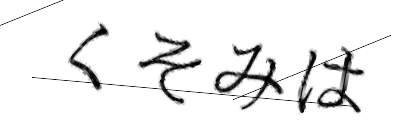 CAPTCHA画像
