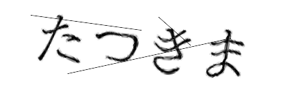 CAPTCHA画像