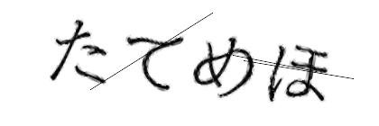 CAPTCHA画像