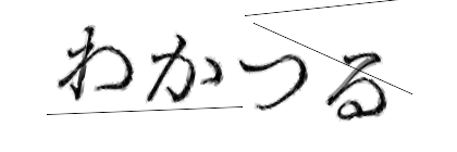 CAPTCHA画像