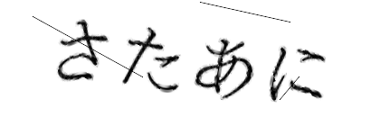 CAPTCHA画像