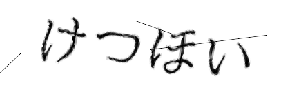 CAPTCHA画像