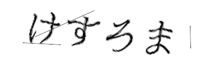 CAPTCHA画像