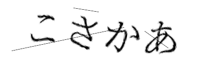 CAPTCHA画像