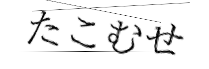CAPTCHA画像
