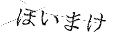 CAPTCHA画像