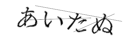 CAPTCHA画像