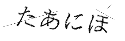CAPTCHA画像