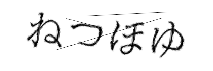 CAPTCHA画像