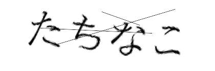 CAPTCHA画像