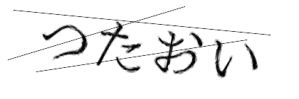 CAPTCHA画像