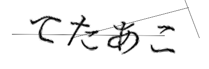 CAPTCHA画像