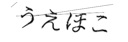 CAPTCHA画像