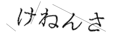 CAPTCHA画像