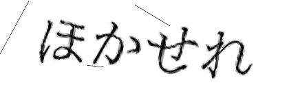CAPTCHA画像