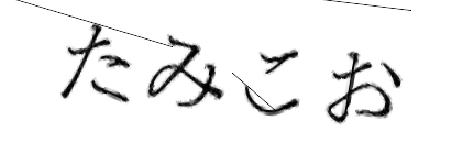 CAPTCHA画像