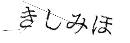 CAPTCHA画像