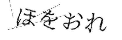 CAPTCHA画像