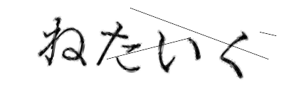 CAPTCHA画像