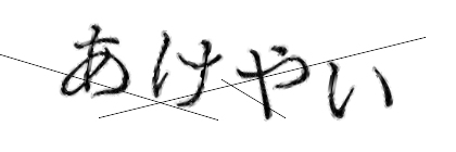 CAPTCHA画像