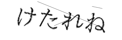 CAPTCHA画像
