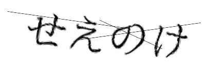 CAPTCHA画像