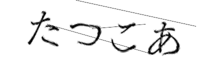 CAPTCHA画像