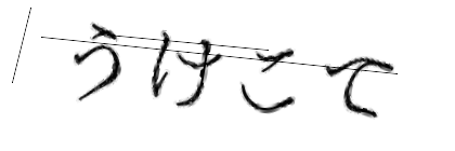 CAPTCHA画像