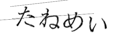 CAPTCHA画像
