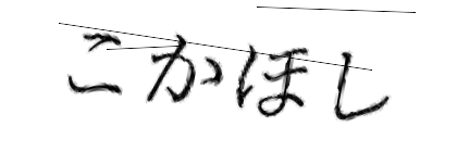 CAPTCHA画像