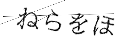 CAPTCHA画像