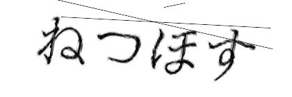 CAPTCHA画像