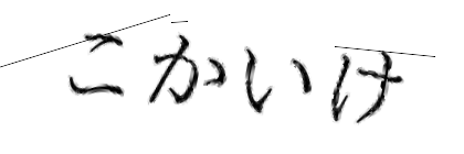 CAPTCHA画像