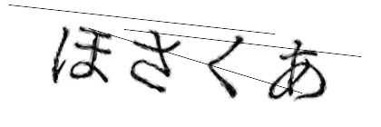 CAPTCHA画像