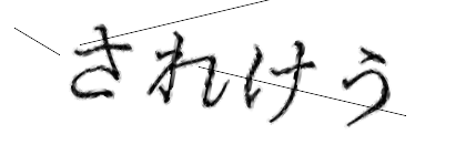 CAPTCHA画像