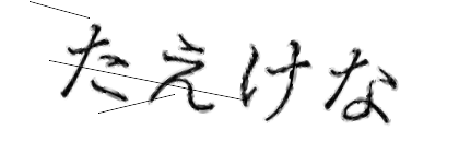CAPTCHA画像