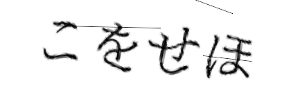 CAPTCHA画像
