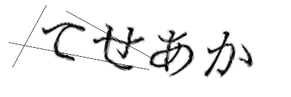 CAPTCHA画像