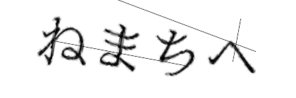 CAPTCHA画像